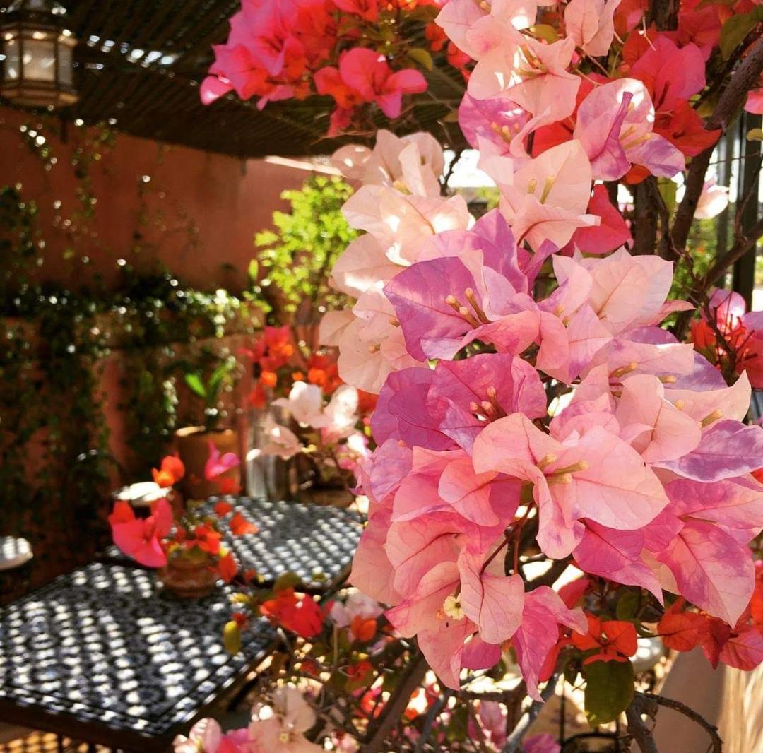 Riad Green Lotus มาร์ราเกช ภายนอก รูปภาพ